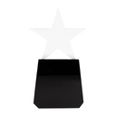 Galvano de cristal 22 × 10,7 cm 1