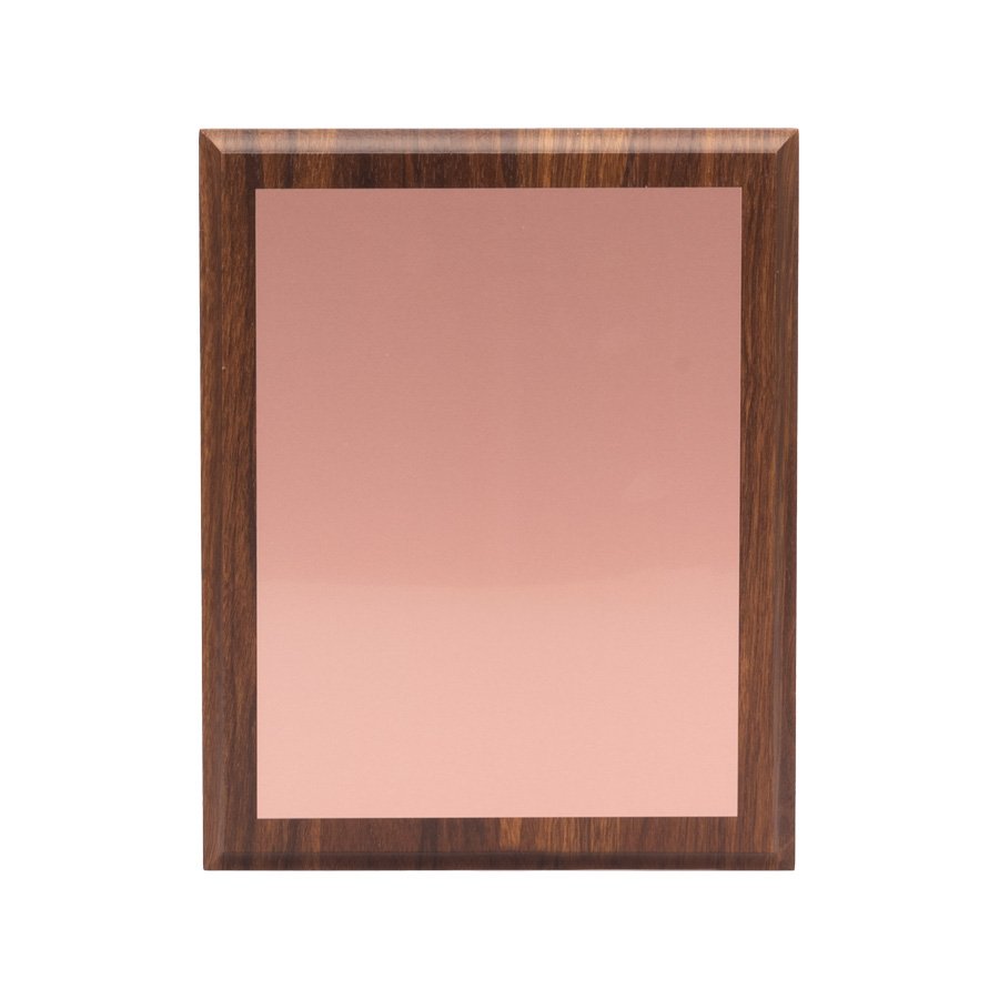 Placa galvano encobrizado 21 × 16 cm 2