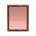Placa galvano encobrizado 21 × 16 cm 2