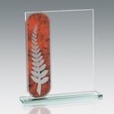Galvano de cristal rectangular 20 × 15 cm 1