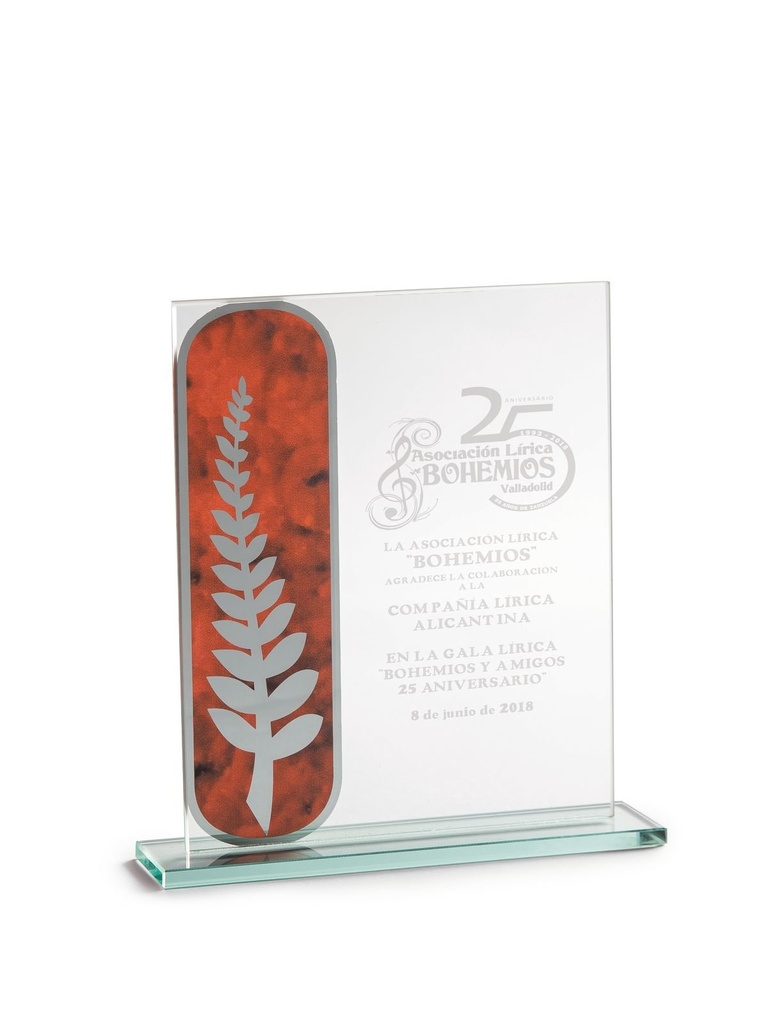 Galvano de cristal rectangular 20 × 15 cm 2