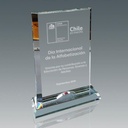Galvano de cristal rectangular 20 × 13 cm 2