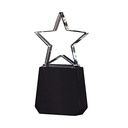 Galvano de cristal con estrella y base de madera 12 × 24 cm 1