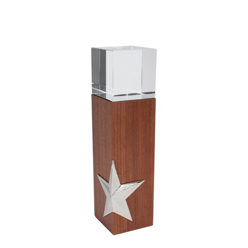 Trofeo de madera y cristal 23 × 5,9 cm
